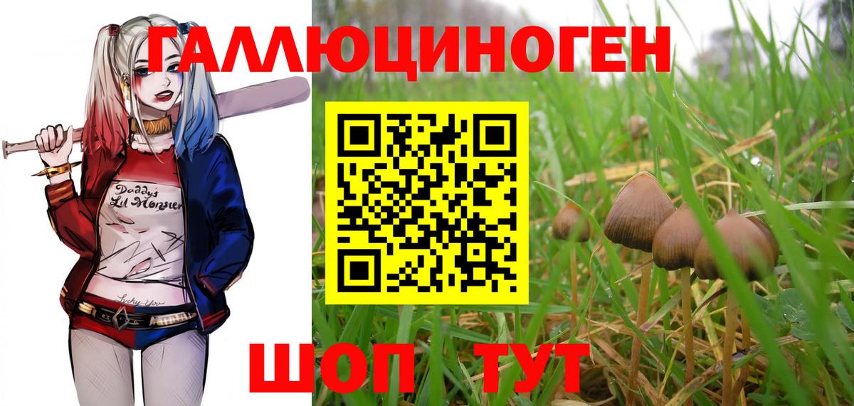 Галлюциногенные грибы мицелий  наркошоп  Кимры  Псилоцибиновые грибы мухоморы  Вход с VPN 