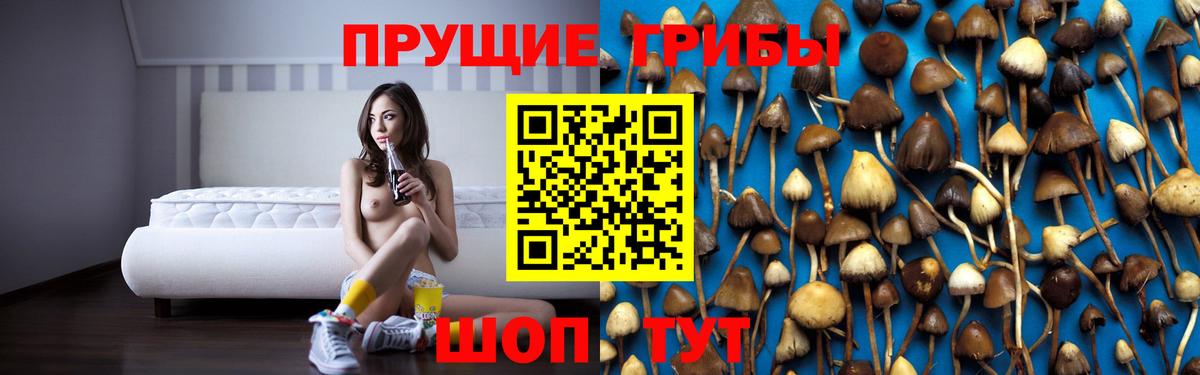 Псилоцибиновые грибы MAGIC MUSHROOMS Кимры
